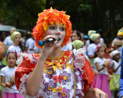 São Paulo street carnival has children's blocks in all regions
