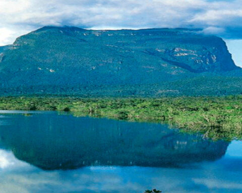 Satellite images show 86 mining machines on top of the Yapacana tepui