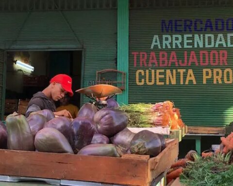 Cuba, Cuentapropistas, trabajadores, estatal, mipymes