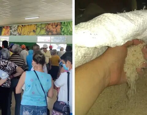 Escasez de arroz en Cuba: los particulares no lo quieren vender