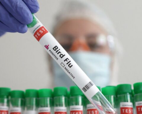 Ten questions answered about the threat posed by H5N1 bird flu to humans