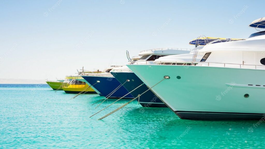 The AFIP found more than 5,600 inconsistencies in boat owners