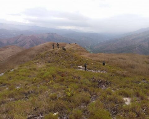 The Fanb tracks in the Aragua mountains to Conejo cells