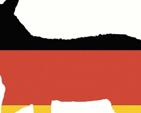 The German lamb is learning to howl