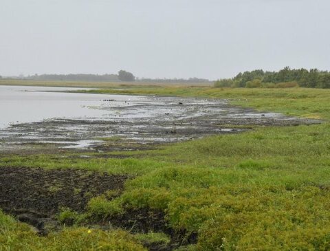 The US$2 million work to combat the drought that OSE cannot use due to technical failures