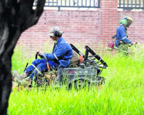 The cleaning of green areas will cost more than Bs 200 million in five years