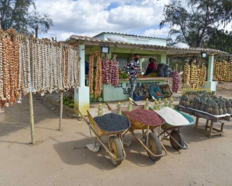 The coming bad harvest