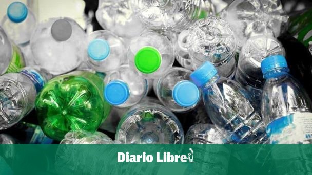 The economic impact of the Dominican plastic sector