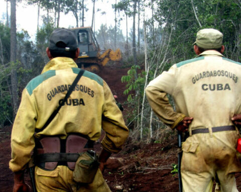 The great forest fire in the mountainous area of ​​Holguín is considered controlled