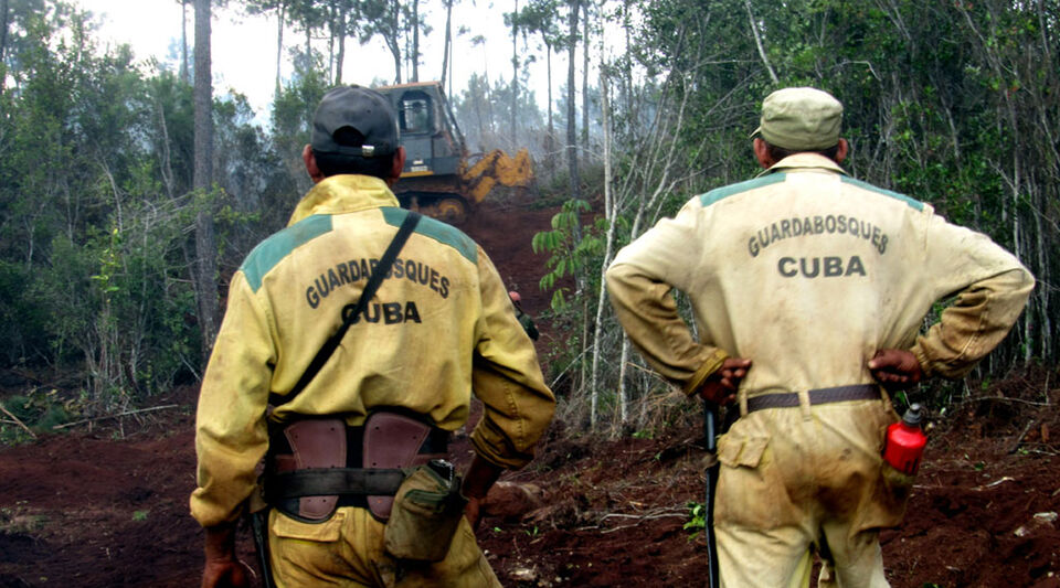 The great forest fire in the mountainous area of ​​Holguín is considered controlled