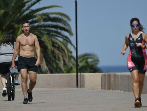 The heat wave began: maximum temperatures of 37 degrees are expected until Monday