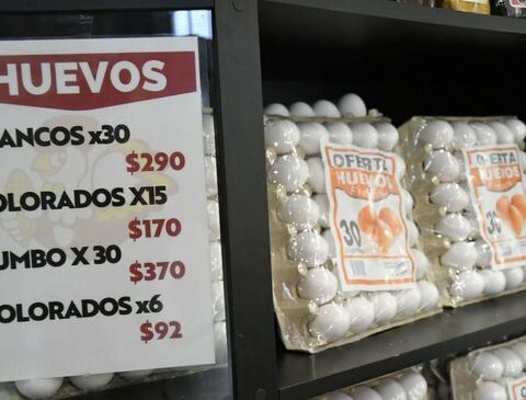 The maple with 30 eggs is close to $400