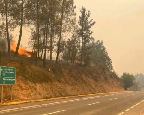 The number of deaths from the fires in central-southern Chile rises to 22