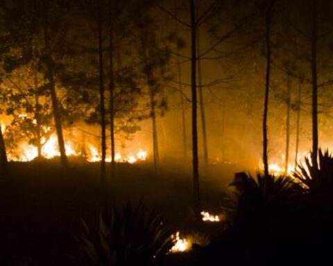 The out-of-control fire in Holguín threatens several coffee plantations and a natural park