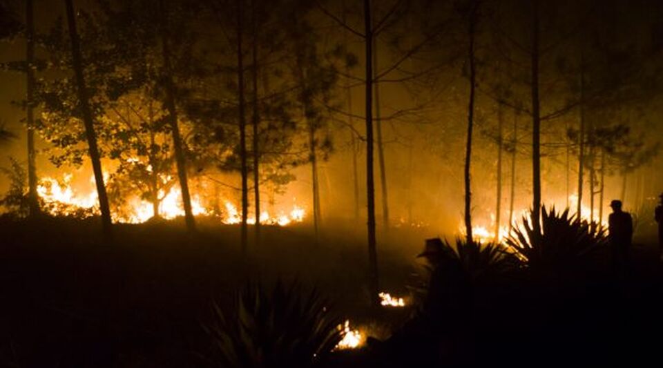 The out-of-control fire in Holguín threatens several coffee plantations and a natural park