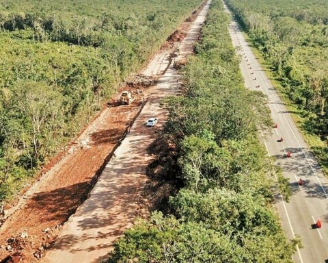 They denounce the Mayan Train before the Tribunal for the Rights of Nature