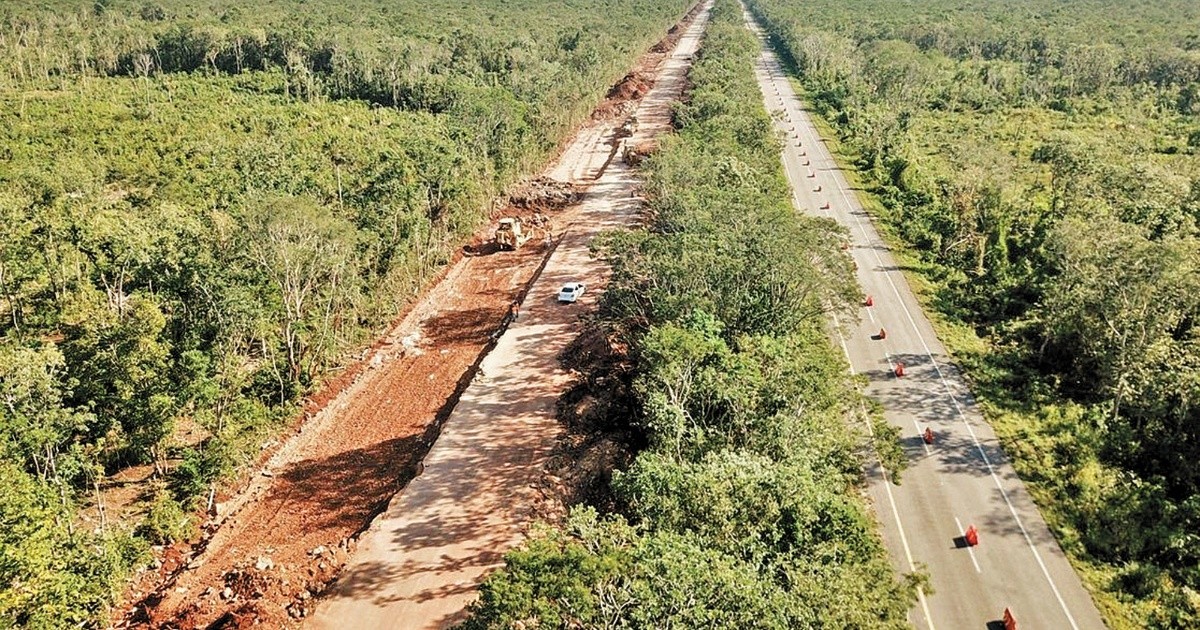 They denounce the Mayan Train before the Tribunal for the Rights of Nature
