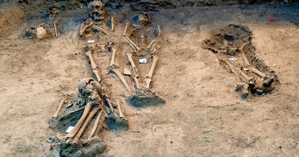 They find in Bosque de Chapultepec a cemetery from the early viceroyalty period