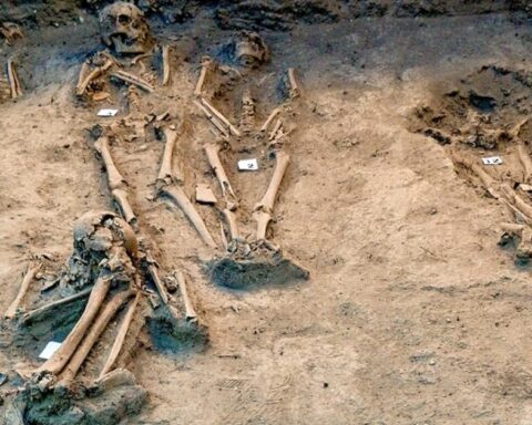 They find in Bosque de Chapultepec a cemetery from the early viceroyalty period
