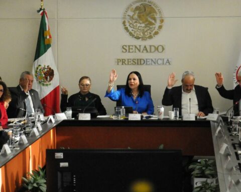 They guarantee in commissions the "Plan B" electoral;  exclude "eternal life"