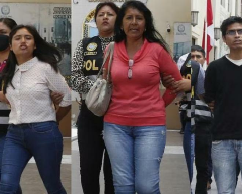 They present a project to prevent those convicted of terrorism from running for public office