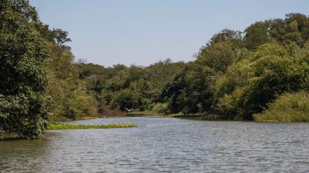 They promote a new provincial park on the islands of the Uruguay River