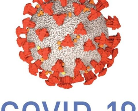 Reportan 21 casos covid; hay 273 activos