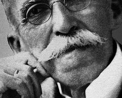 Today is the Day: Zico, Rui Barbosa and Jards Macalé are highlights of the week