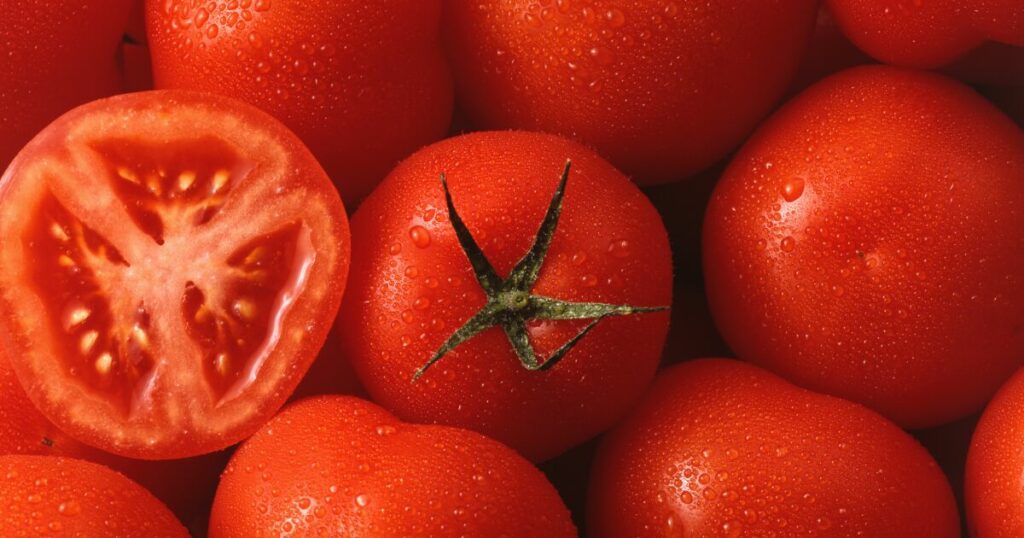 UK is facing a tomato shortage