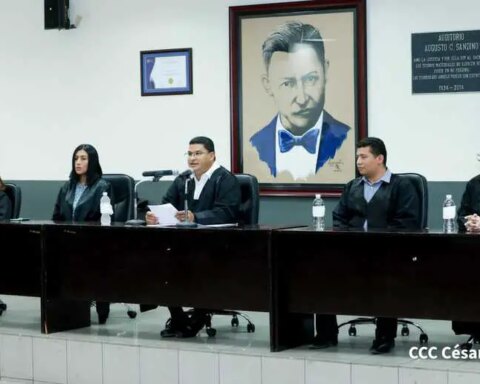 UNHCR: International law “prohibits” stripping of nationality