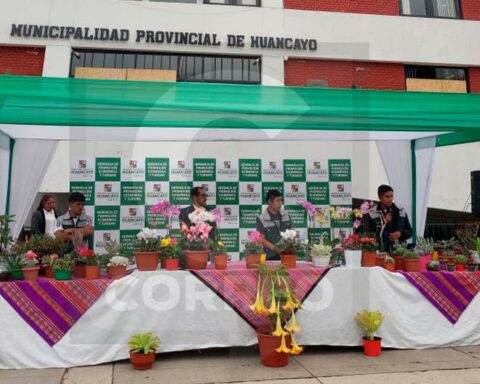 Valentine's Day: the perfect gift at the "I Festival of Flowers and Plants" in Huancayo