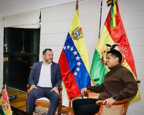 Venezuela and Bolivia agree on specific areas of collaboration