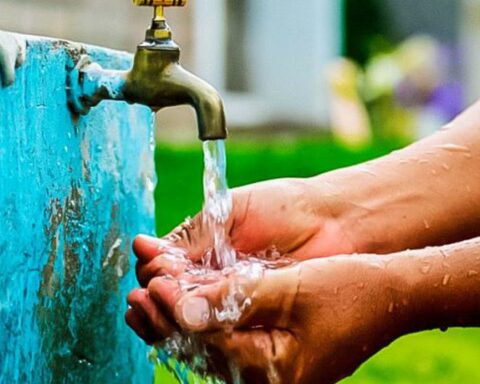 Water care in summer: Follow these 10 tips to avoid wasting this resource