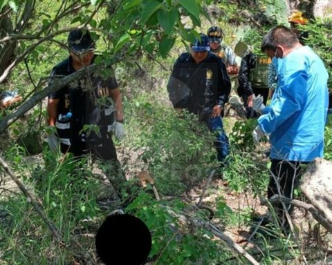 Woman harvests cochineal and finds mummified corpse in Julcamarca