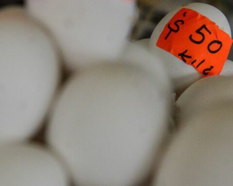 "The kilo of egg rises two pesos daily"Why and when will it go down?