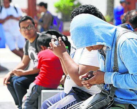 19.1% of young people between the ages of 15 and 29 do not study or work