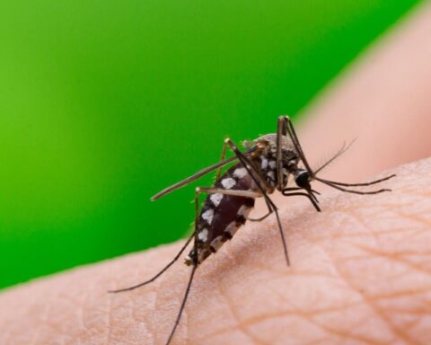 93% increased cases of dengue in Venezuela in 2022, according to the UN