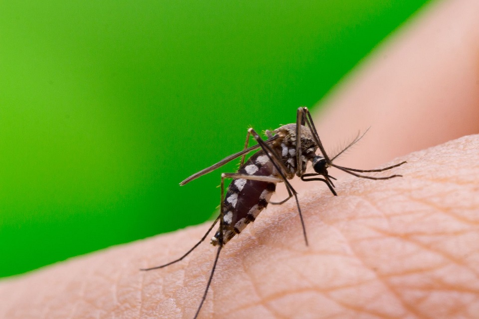 93% increased cases of dengue in Venezuela in 2022, according to the UN