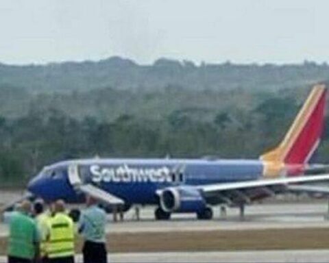 A bird strike caused a fire in a turbine on the Southwest plane