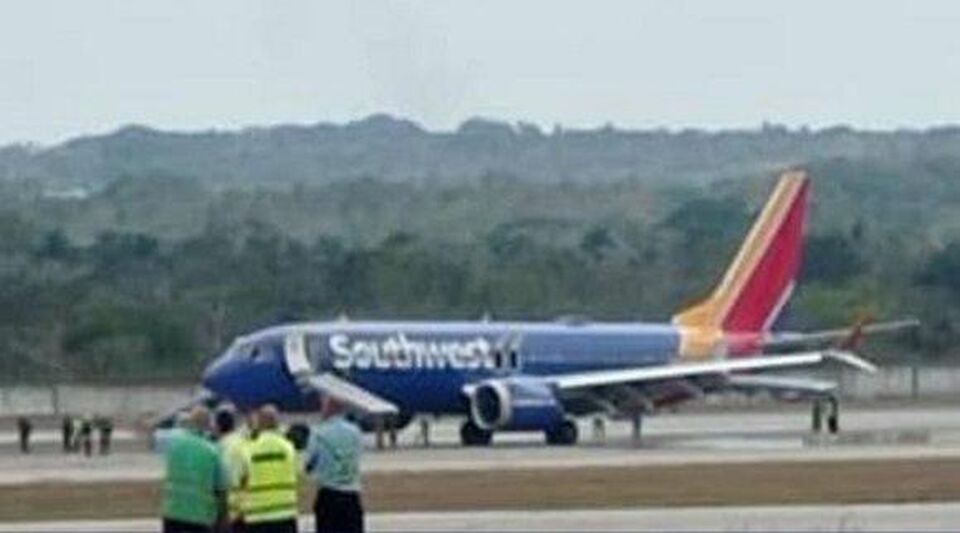 A bird strike caused a fire in a turbine on the Southwest plane