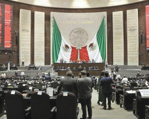 AMLO presents initiatives to increase penalties for clandestine logging and production of synthetic drugs