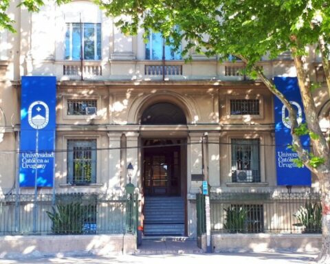 Adrián Peña and his title: Approval of a course does not appear in records, says the Catholic University