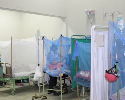 Alert increase in dengue cases in districts of Ayacucho