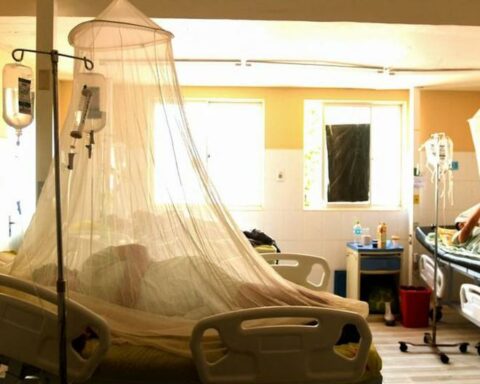 Almost 500 cases of dengue so far this year in Cusco