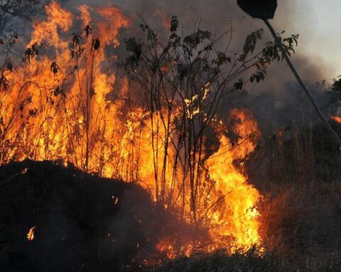 Amazon concentrates 90% of the area with fire outbreaks in the 1st bimester