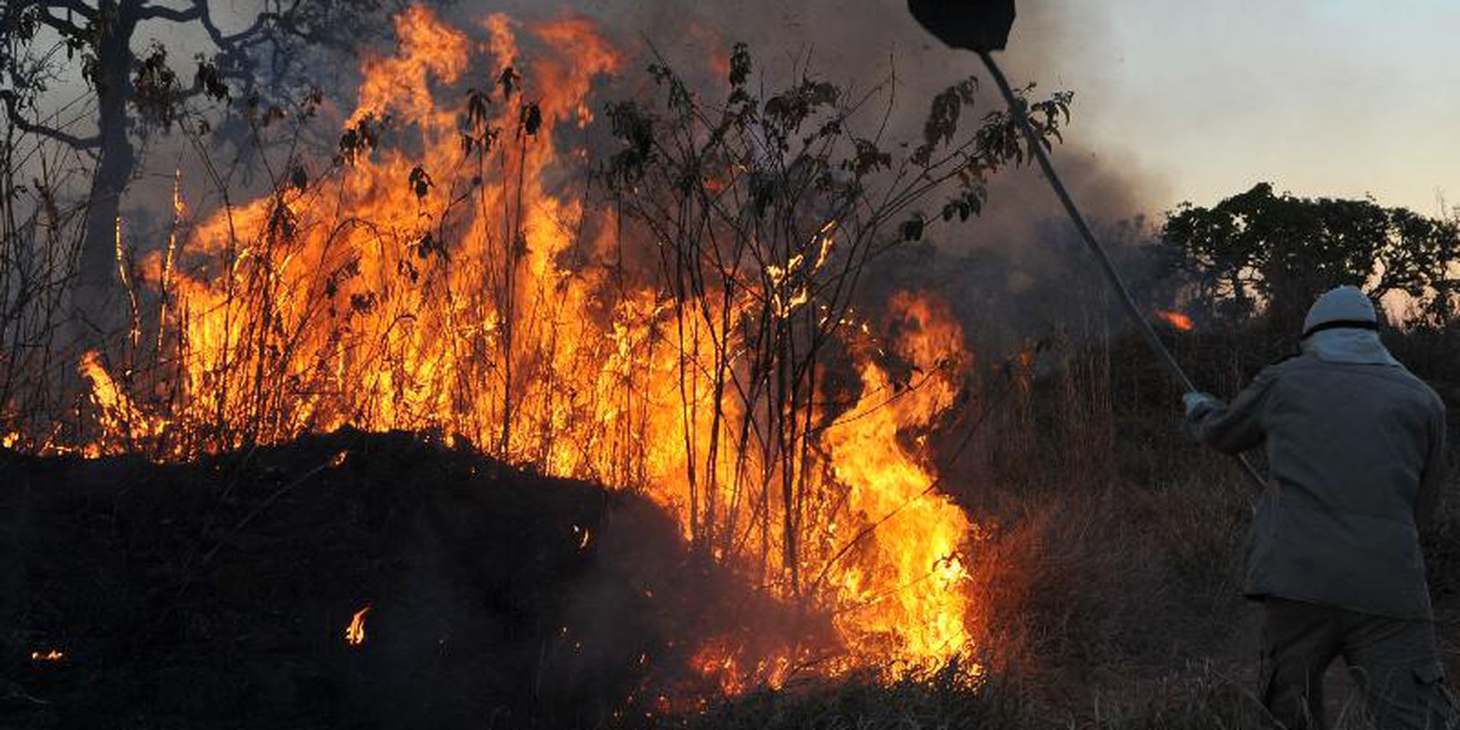 Amazon concentrates 90% of the area with fire outbreaks in the 1st bimester