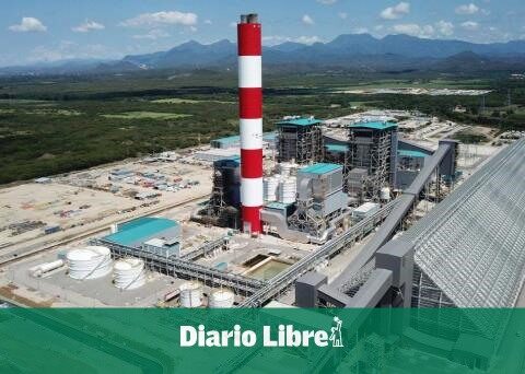 Audit reveals failures of Punta Catalina thermoelectric plant