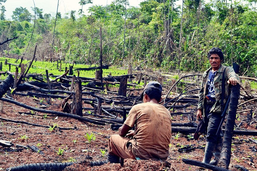 Deforestación en Nicaragua