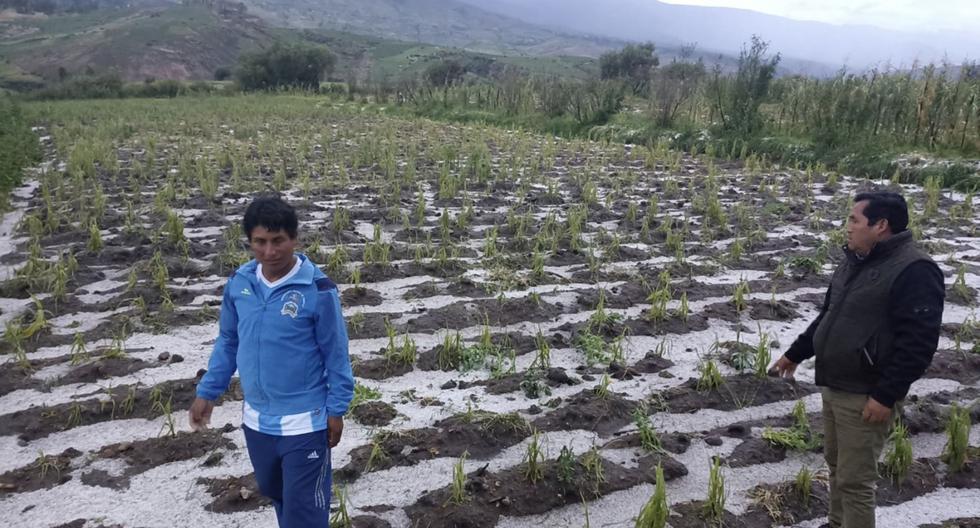 Budget for those affected by inclement weather reaches 144 thousand soles in Ayacucho