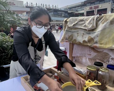 Circular economy: European Union highlights the role of Peruvian businesswomen